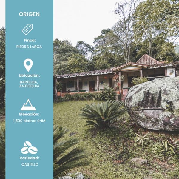 Finca Piedra Larga - Lavado (400 gr) - Imagen 2