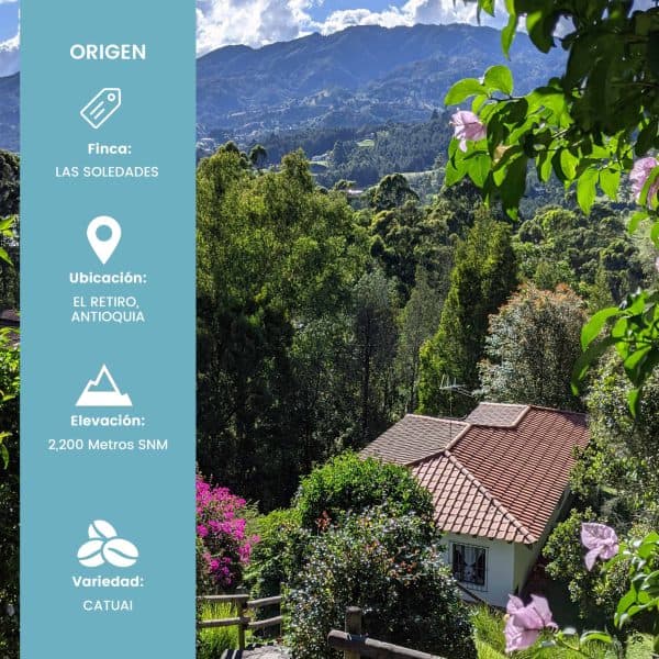 Finca Las Soledades - Lavado (400 gr) - Imagen 2
