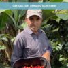 Finca Las Soledades - Lavado (400 gr) - Imagen 3