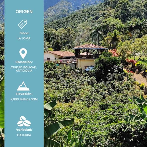<b>Finca La Loma - Lavado</b> - Imagen 2
