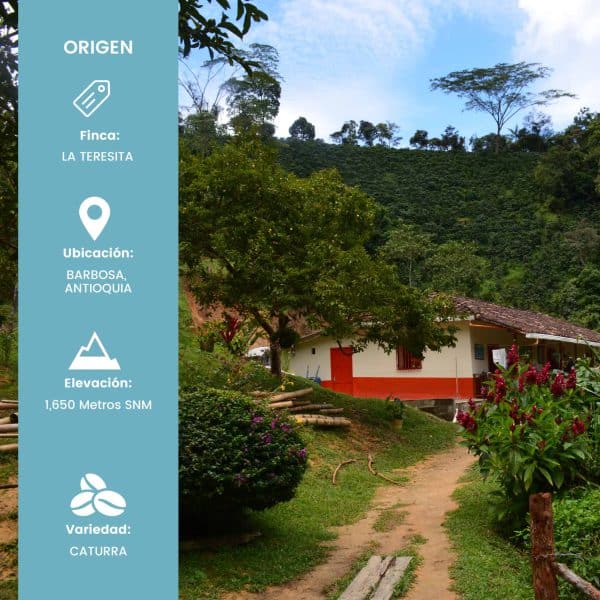 Finca La Teresita - Lavado (400 gr) - Imagen 3
