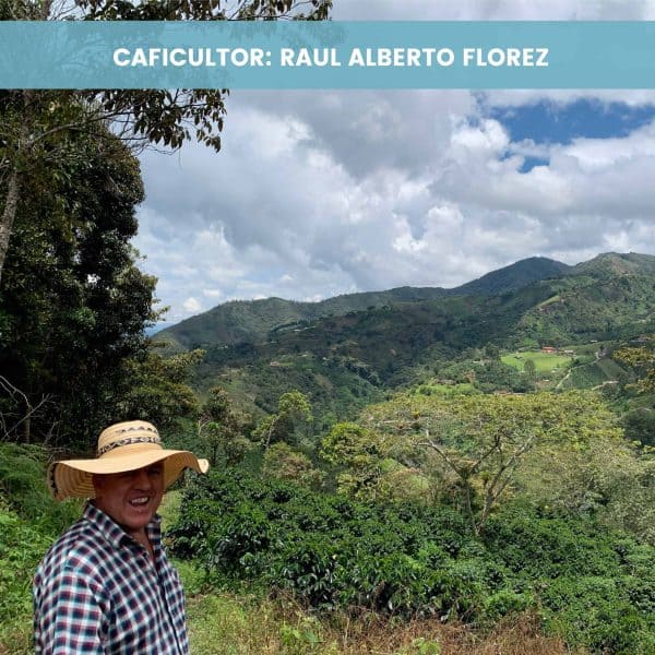 Finca La Teresita - Lavado (400 gr) - Imagen 2