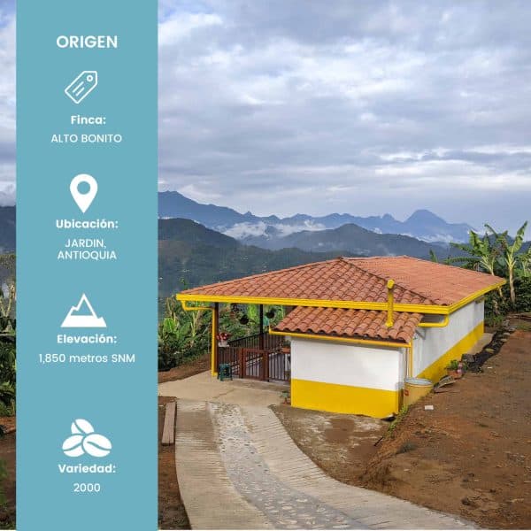 Finca Alto Bonito - Lavado (400 gr) - Imagen 3