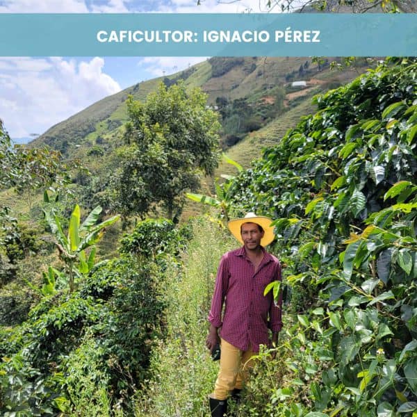 Finca El Jardin - Honey (400 gr) - Imagen 2