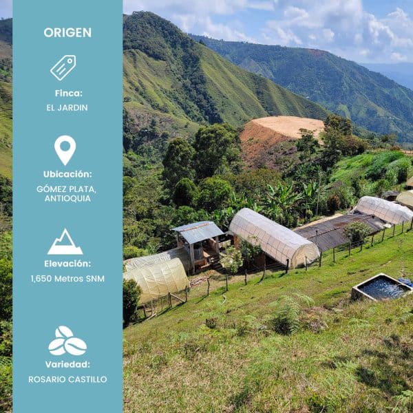 Finca El Jardin - Honey (400 gr) - Imagen 3