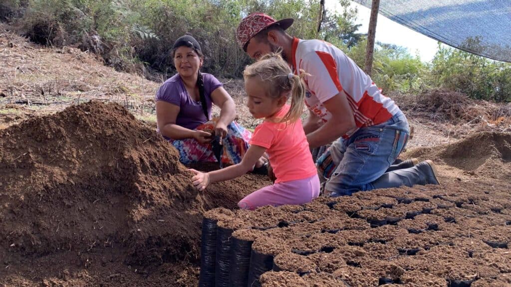 amilia caficultora de la Finca La Divisa participando activamente en la siembra de pequeños árboles de café, cultivando tradición y sostenibilidad