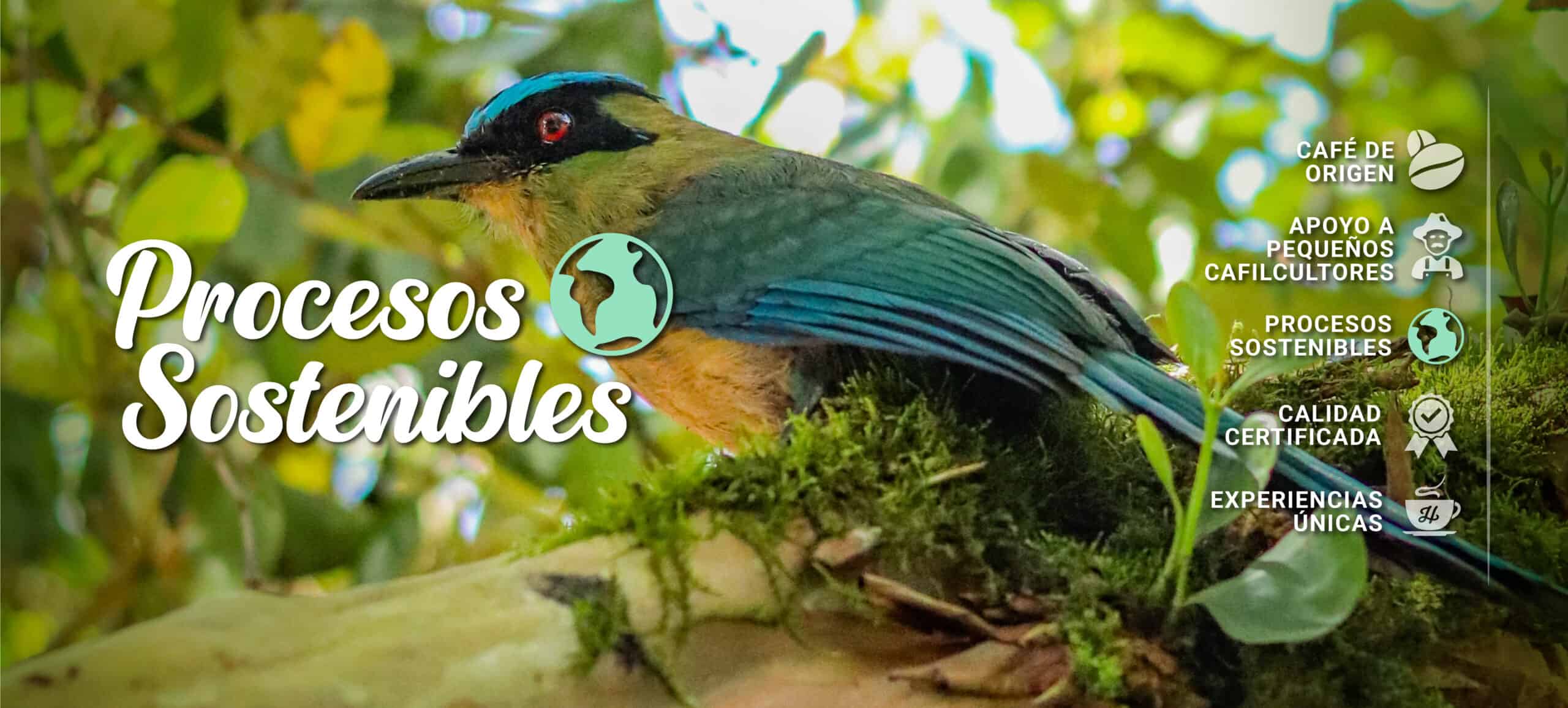 BANNERS PC HATILLO WEB_PROCESOS SOSTENIBLES AGUA BIODIVERSIDAD